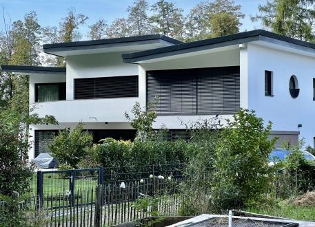 Luxushaus Pultdach-Villa